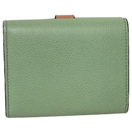 Loewe-Loewe Trifold Wallet-Green