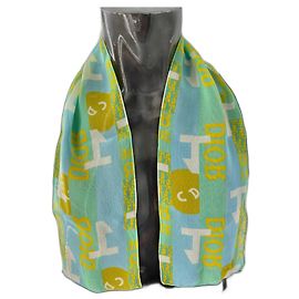 PAÑUELO DE SEDA DIOR Multicolor