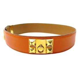 Hermès-HERMES MEDOR BELT DOG COLLAR T65 ORANGE LEATHER + LEATHER BELT BOX-Orange