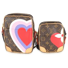 Louis Vuitton-Louis Vuitton-Monogramm-Leinwandspiel auf Paname-Set-Braun,Mehrfarben