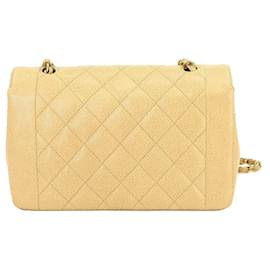 Chanel-Chanel Diana-Beige