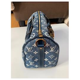 Louis Vuitton-Sacs à main-Bleu