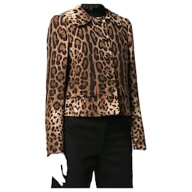 Dolce & Gabbana-Jackets-Brown