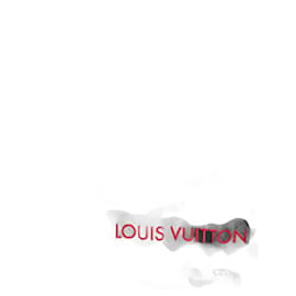 Louis Vuitton-LOUIS VUITTON Foulards T.  silk-Gris