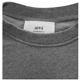 Ami Paris-Es wird durch ein rotes Ami de Coeur-Emblem auf der Brust aufgewertet-Grau