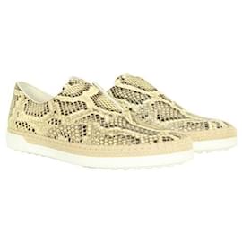 Tod's-Snakeskin Sneakers-Other