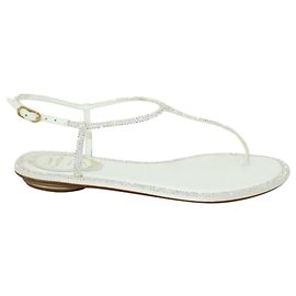 Rene Caovilla Sandália branca rasa com strass Branco