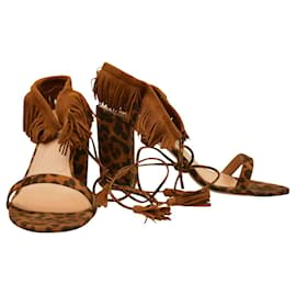 Aquazzura-Zapatos de tacón-Castaño