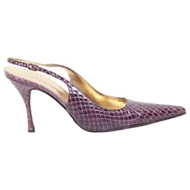 Dolce & Gabbana-Tacones puntiagudos de piel de serpiente-Púrpura