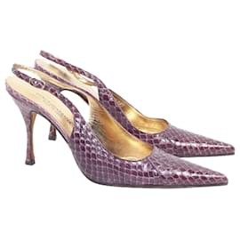 Dolce & Gabbana-Tacones puntiagudos de piel de serpiente-Púrpura