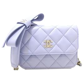 Chanel-CHANEL Handbags Timeless/classique-Purple