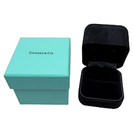 Tiffany & Co-Tiffany & Co Coupe Princesse-Argenté