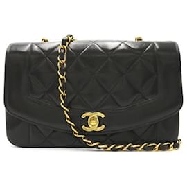 Chanel-Diana Flap Crossbody Bag-Other