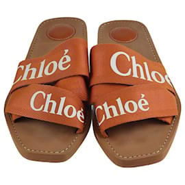 Chloé-Sandálias deslizantes Chloe Brown Woody-Marrom