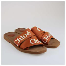 Chloé-Chloe Brown Woody Slide Sandals-Brown