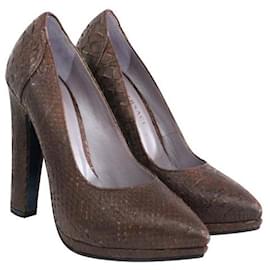 Versace-Zapatos de salón de piel de serpiente marrón VERSACE-Castaño