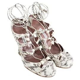 Tabitha Simmons-TABITHA SIMMONS Water Snake Skin Wedges-Other