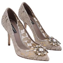 Dolce & Gabbana-Dolce & Gabbana Crystal-Embellished Pointed-Toe Pumps in Beige Lace and Mesh-Brown,Beige