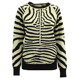 A.L.C EIN.l.C. Rizzou-Strickpullover mit Zebramuster aus mehrfarbiger Viskose  Mehrfarben