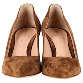 Gianvito Rossi-Gianvito Rossi Pointed Toe Pumps in Brown Suede-Brown