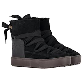 Chloé-See by Chloe Charlee Ankle Boots in Black Suede-Black