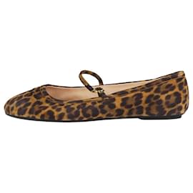Gianvito Rossi-Leopard print Carla ballerina shoes - size EU 37.5-Other