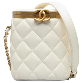 Chanel-Petit sac Box Crown en cuir d'agneau matelassé blanc Chanel-Blanc