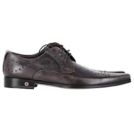 Dolce & Gabbana-Dolce & Gabbana Perforated Pointed Derby Shoes in Brown Leather-Brown