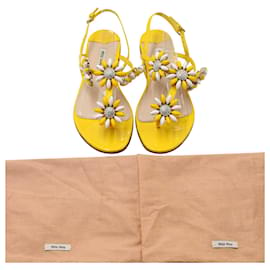 Miu Miu-Sandalias planas con adornos Miu Miu en cuero amarillo-Amarillo