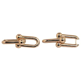 Tiffany & Co-Tiffany Gold 18K Gold Large Link HardWear Earrings-Golden