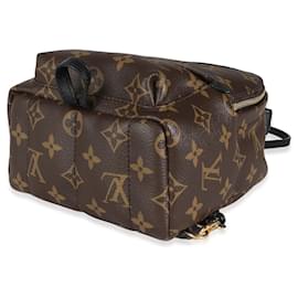 Louis Vuitton-Louis Vuitton Monogram Canvas Mini Palm Springs-Braun