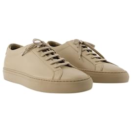 Autre Marque-Original Achilles Low Sneakers - COMMON PROJECTS - Leder - Kaffee-Braun