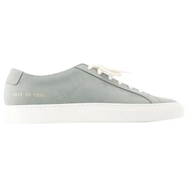 Autre Marque-Contrast Achilles Sneakers - COMMON PROJECTS - Leather - Green-Green