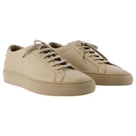 Autre Marque-Original Achilles Low Sneakers - COMMON PROJECTS - Leather - Coffee-Brown
