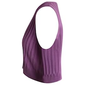 Iro-IRO V-Neck Ribbed Crop Top in Purple Silk-Purple