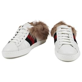 Gucci-Sneakers-Roh