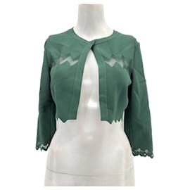 Alaïa-ALAIA  Knitwear T.fr 40 Viscose-Green