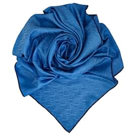 Dior-Logo Trotter Scarf-Blue