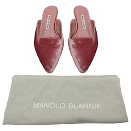 Manolo Blahnik-Manolo Blahnik Ruby Pointed-Toe Mules in Pink Velvet-Pink