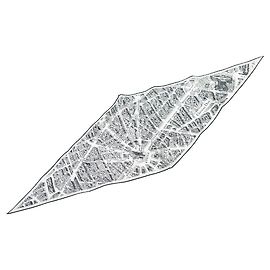 NUOVA SCIARPA CHRISTIAN DIOR PLAN DE PARIS IN SETA NERO BIANCO + ETICHETTA SCIARPA Bianco