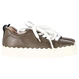Chloé-Chloé Lauren Low-Top Sneakers in Brown Leather-Brown