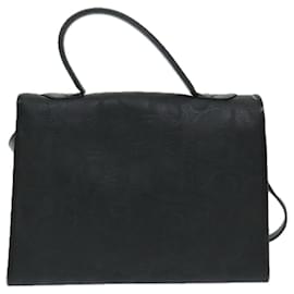 Christian Dior-Christian Dior Trotter Canvas Hand Bag 2way Black Auth 69558-Black