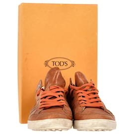 Tod's-Tod's Low Top Sneakers in Brown Leather-Brown