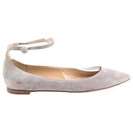 Gianvito Rossi-Ballerinas aus Wildleder-Grau