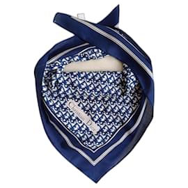 Christian Dior-Pañuelos-Blanco,Azul marino
