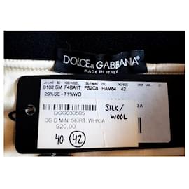 Dolce & Gabbana-Jupes-Multicolore