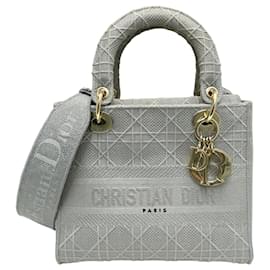Dior-Dior Lady D-Light-Grau