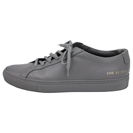 Autre Marque-Common Projects Original Achilles Sneakers in Grey Leather-Grey