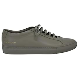 Autre Marque-Common Projects Original Achilles Sneakers in Green Leather-Green
