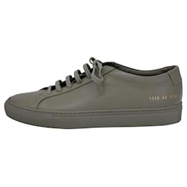 Autre Marque-Common Projects Original Achilles Sneakers in Green Leather-Green